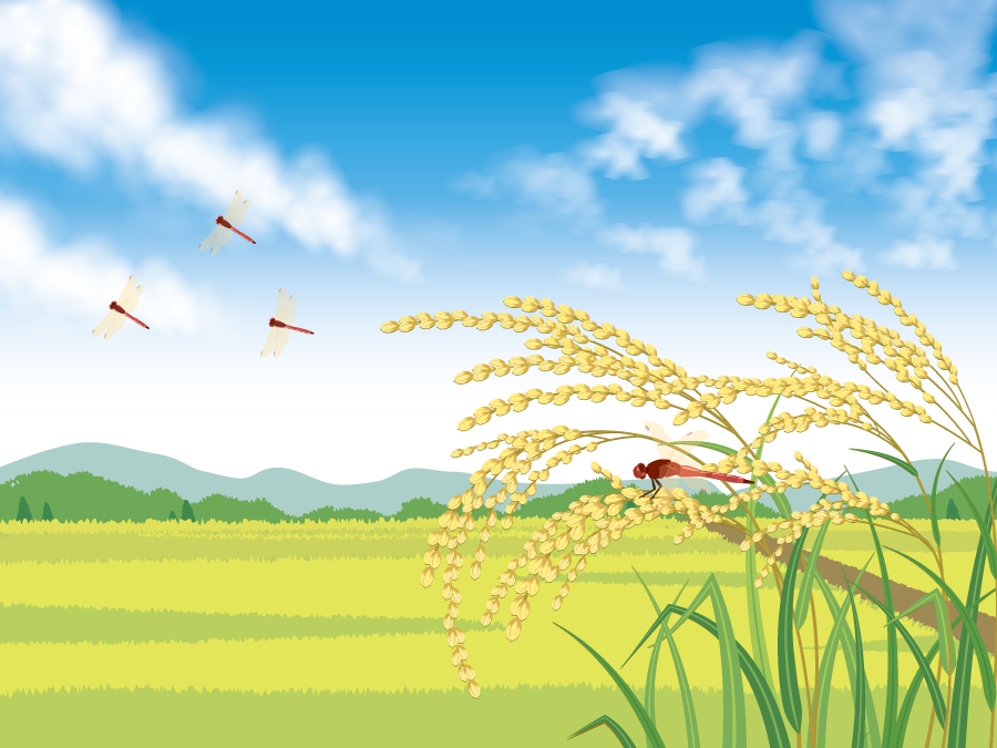 フリー イラスト稲穂と赤とんぼの田園風景