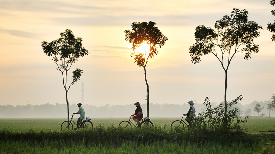 フリー 写真朝の農道を自転車に乗って仕事に出かける人々