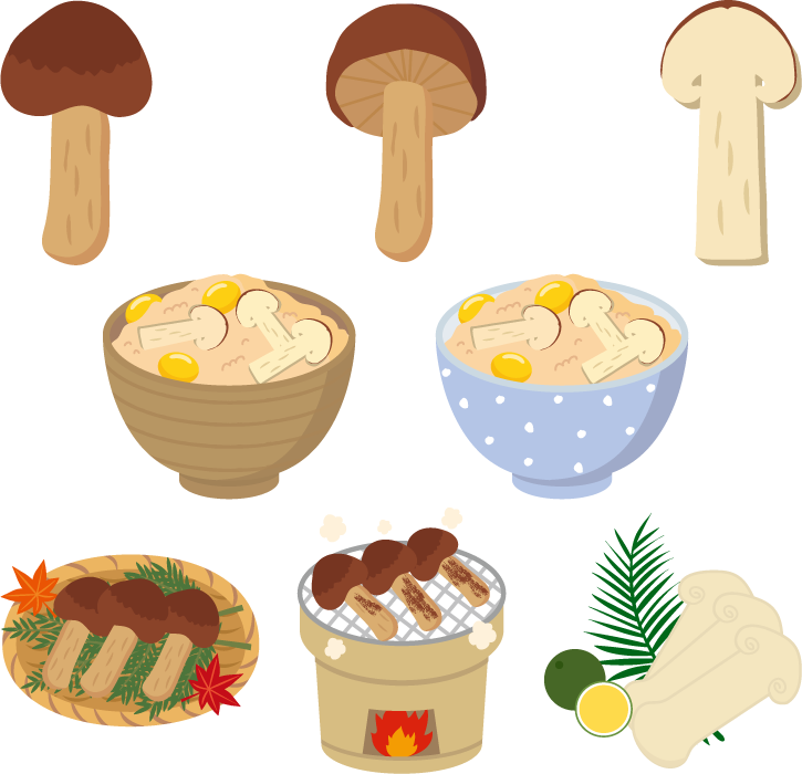 フリー イラスト松茸と松茸料理の8種類のセット