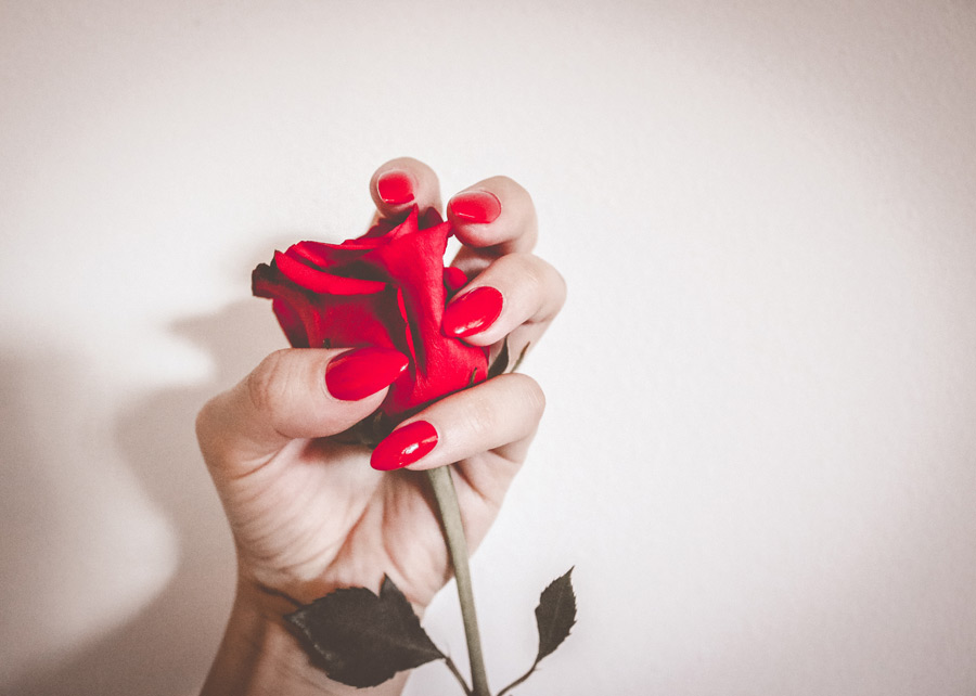 フリー写真 薔薇の花を握りしめる手