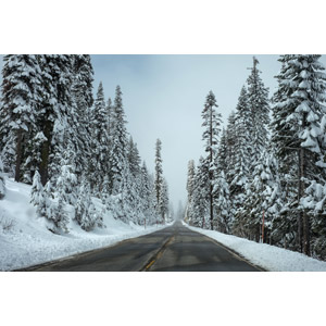 フリー写真, 風景, 道路, 雪, 樹木, 冬