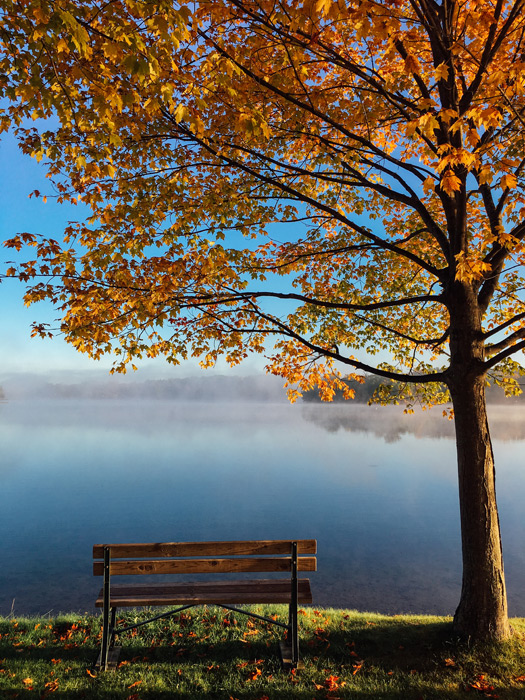 フリー写真 霧がかかる湖と紅葉した木とベンチのある風景