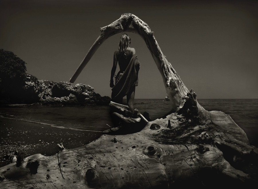 フリー写真 砂浜の流木と女性の後ろ姿