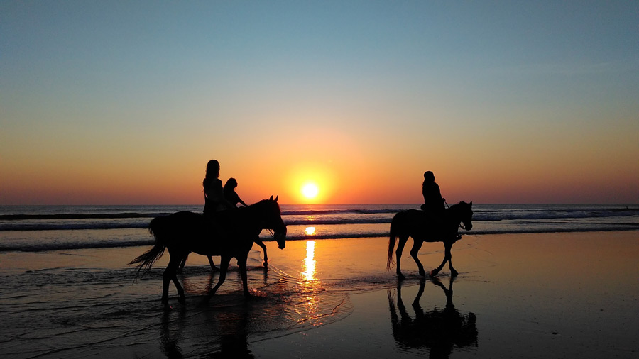 フリー写真 夕暮れのビーチと馬に乗る人々