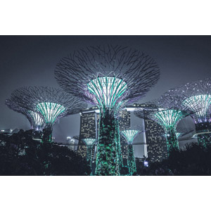 フリー写真, 風景, オブジェ, 夜景, 夜, ガーデンズ・バイ・ザ・ベイ, シンガポールの風景, マリーナベイ・サンズ, 高層ビル