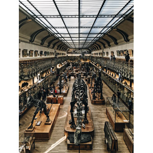 フリー写真, 風景, 建造物, 建築物, 博物館（美術館）, フランスの風景