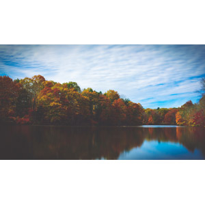 フリー写真, 風景, 自然, 湖, 森林, 紅葉（黄葉）, 秋, アメリカの風景, ニュージャージー州