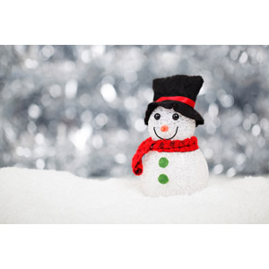 フリー写真, 人形, 雪だるま, 冬