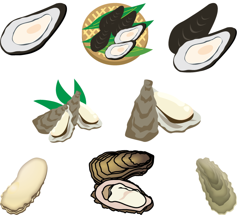 フリーイラスト 8種類の牡蠣のセット