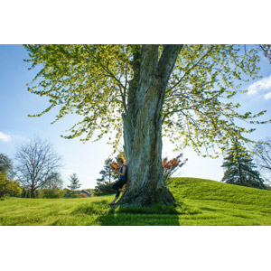 フリー写真, 人物, 女性, 外国人女性, 人と風景, 風景, 樹木