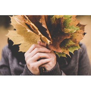 フリー写真, 人物, 人体, 手, 植物, 葉っぱ, 落葉（落ち葉）, 秋