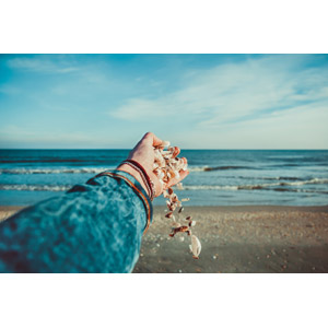 フリー写真, 人体, 手, 貝殻, ビーチ（砂浜）