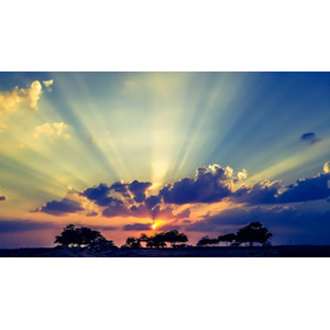 フリー写真, 風景, 自然, 夕暮れ（夕方）, 夕焼け, 夕日, 太陽光（日光）, 薄明光線, 雲, 空