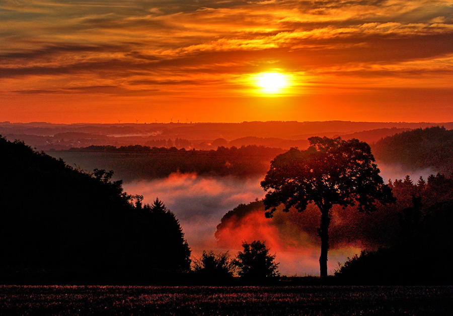 フリー写真 朝霧と朝日の風景