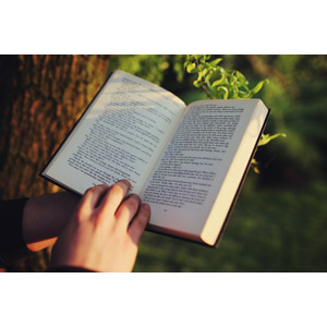 フリー写真, 人体, 手, 本（書籍）, 読む（読書）