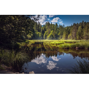 フリー写真, 風景, 自然, 湖, 雲, 樹木