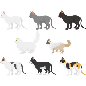 フリーイラスト, ベクター画像, AI, 動物, 哺乳類, 猫（ネコ）, 白猫, 黒猫, 白黒猫, 三毛猫, ペルシャ猫, シャム猫