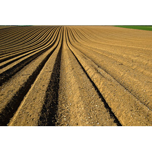 フリー写真, 風景, 畑, 田舎