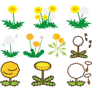 フリーイラスト, ベクター画像, AI, 植物, 花, 雑草, 蒲公英（タンポポ）, 綿毛, 黄色の花