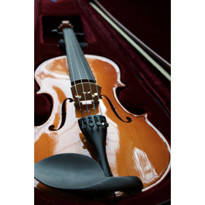 フリー写真, 音楽, 楽器, 弦楽器, バイオリン（ヴァイオリン）