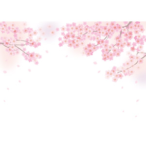 フリーイラスト, ベクター画像, AI, 背景, 花, 桜（サクラ）, ピンク色の花, 春, 花びら