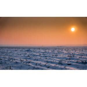 フリー写真, 風景, 自然, 夕暮れ（夕方）, 夕焼け, 夕日, 雪, 冬