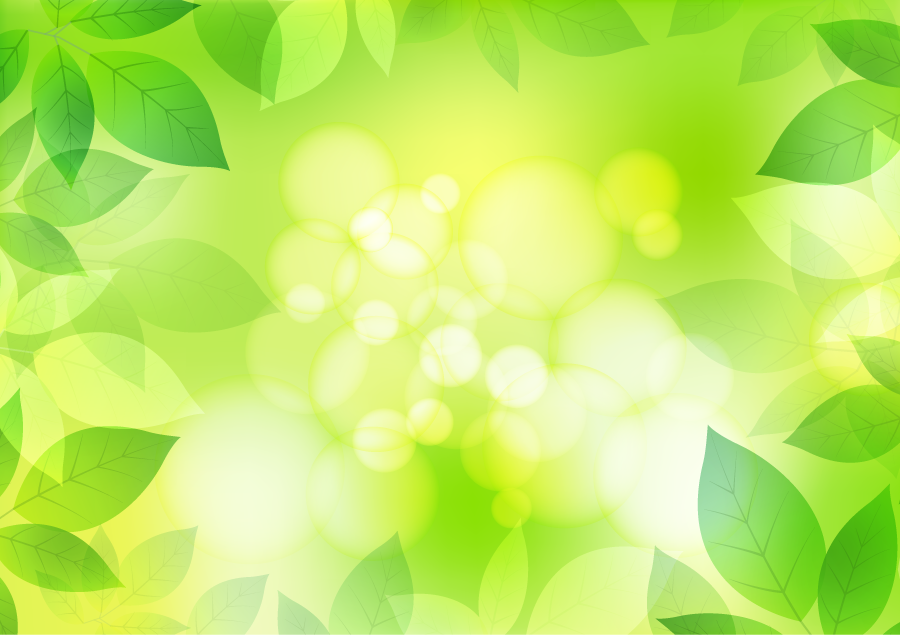 フリーイラスト 新緑の葉と光の玉ボケの飾り枠
