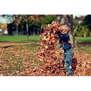 フリー写真, 人物, 子供, 男の子, 外国の男の子, 落葉（落ち葉）, 植物, 葉っぱ