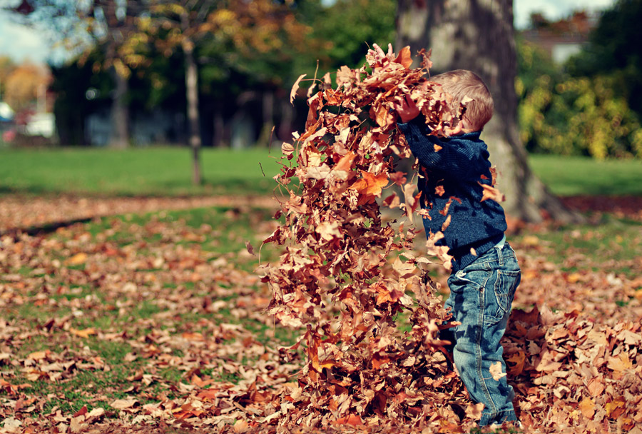 フリー写真 落ち葉で遊ぶ外国の男の子
