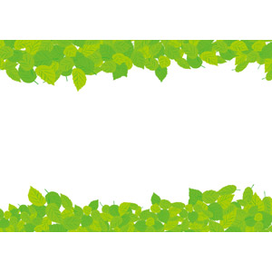 フリーイラスト, ベクター画像, AI, 背景, フレーム, 上下フレーム, 植物, 葉っぱ, 新緑