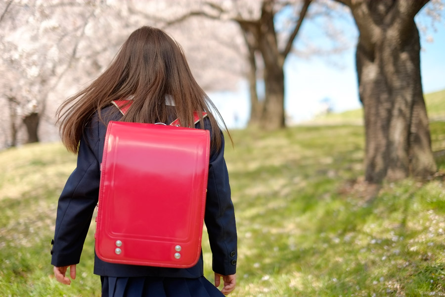 フリー写真 ランドセルを背負って桜並木を歩く女の子の後ろ姿
