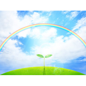 フリーイラスト, 風景, 自然, 空, 雲, 青空, 虹, 植物, 新芽, 水滴（雫）, エコロジー, 太陽光（日光）