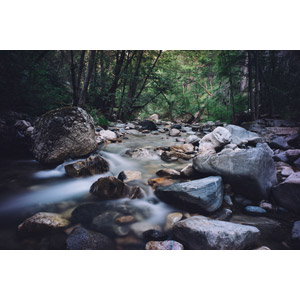 フリー写真, 風景, 自然, 河川, 渓流, 森林, アメリカの風景, カリフォルニア州