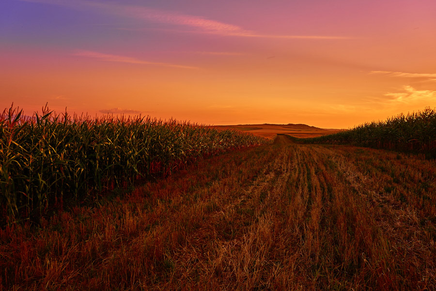 フリー写真 ルーマニアの夕焼けと畑