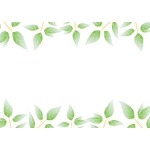 フリーイラスト, ベクター画像, AI, 背景, フレーム, 上下フレーム, 植物, 葉っぱ, 新緑
