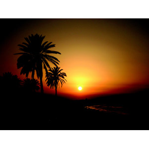 フリー写真, 風景, 自然, 夕暮れ（夕方）, 夕焼け, 夕日, 樹木, 椰子（ヤシ）, 南国, チュニジアの風景, リゾート, バカンス