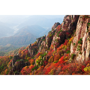フリー写真, 風景, 自然, 山, 岩山, 紅葉（黄葉）, 秋