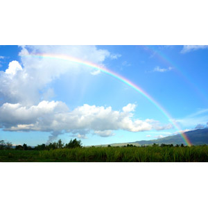 フリー写真, 風景, 自然, 虹, 青空, 雲, 草むら
