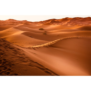 フリー写真, 風景, 自然, 砂漠, 砂丘, サハラ砂漠, モロッコの風景