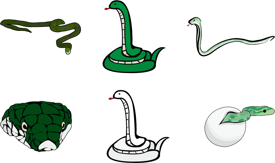 フリーイラスト 6種類の蛇のセット