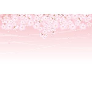 フリーイラスト, ベクター画像, AI, 背景, 植物, 花, 桜（サクラ）, 花びら, ピンク色の花, 春, ピンク色