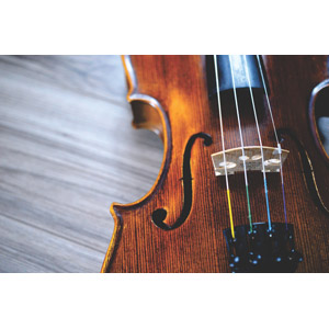 フリー写真, 音楽, 楽器, 弦楽器, バイオリン（ヴァイオリン）