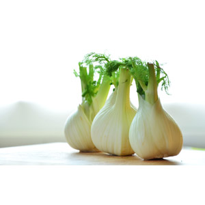 フリー写真, 食べ物（食料）, 野菜, フェンネル