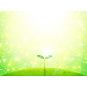 フリーイラスト, 植物, 新芽, 光（ライト）, 水滴（雫）, 緑色（グリーン）, エコロジー, 輝き