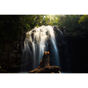 フリー写真, 風景, 自然, 滝, 倒木, オーストラリアの風景