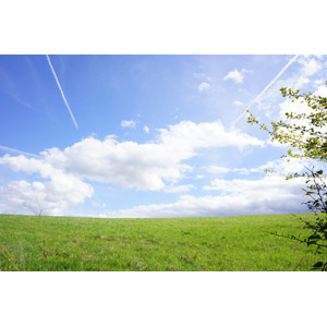 フリー写真, 風景, 自然, 草原, 青空, 雲, 飛行機雲