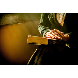 フリー写真, 人物, 女性, 手, 本（書籍）