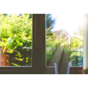 フリー写真, 植物, 観葉植物, 窓辺, 太陽光（日光）