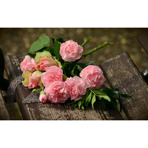 フリー写真, 植物, 花, 薔薇（バラ）, ピンク色の花, 花束