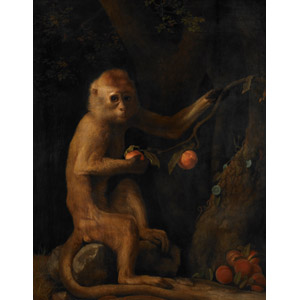 フリー絵画, ジョージ・スタッブス, 動物画, 哺乳類, 猿（サル）